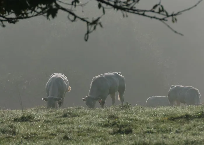 Rue Haute 3* Eben-Emael